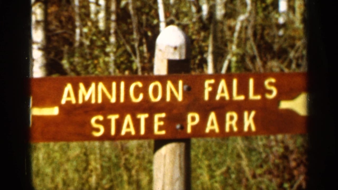 Wooden Amnicon Falls State Park sign with yellow letters among trees.