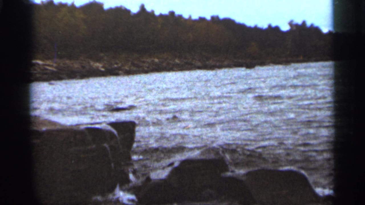 Rippling water meets dark rocks with a wooded shoreline in the distance.