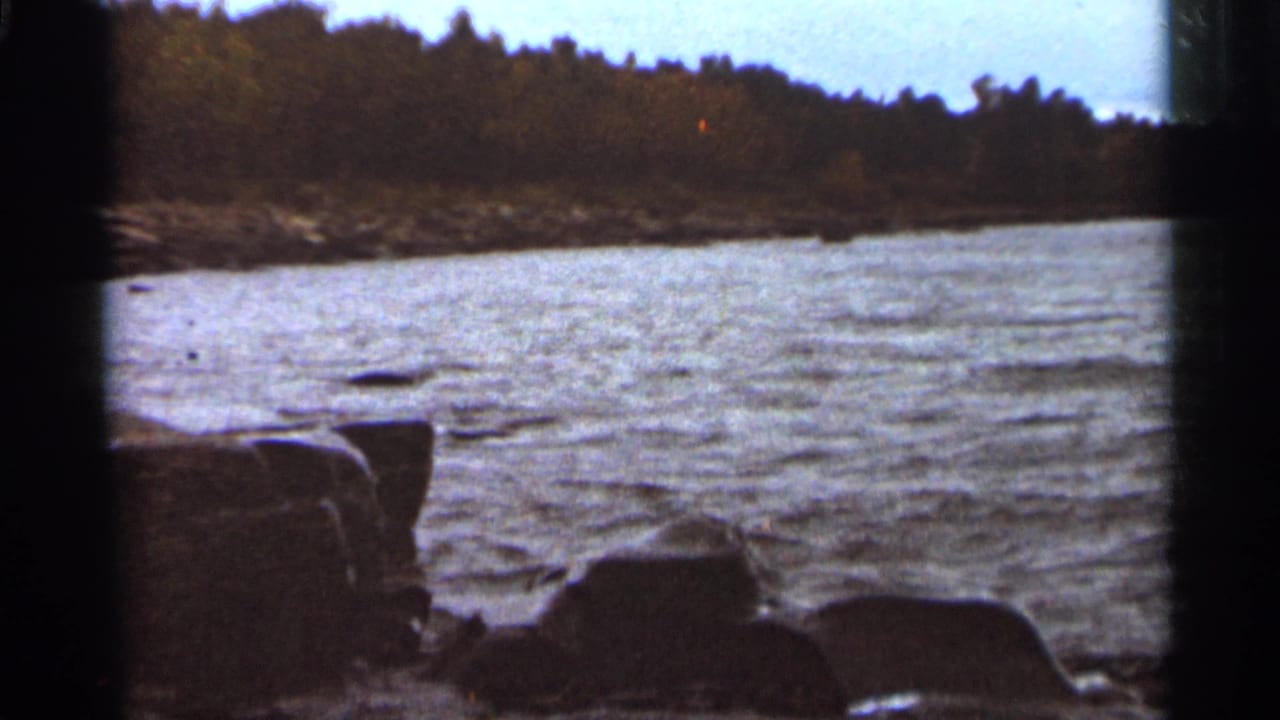 Rippling water with rocks in the foreground and a dark wooded shoreline beyond.