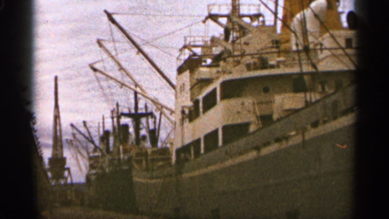 Two large cargo ships docked beside cranes under an overcast sky.