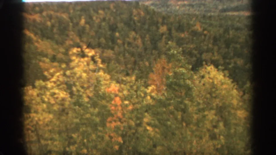 1965 8mm frame from the Duluth area showing a soft aerial or elevated view over dense autumn forest foliage.