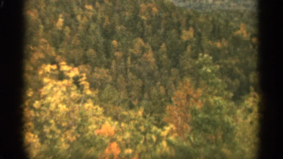 1965 8mm frame near Duluth showing dense autumn woodland from an elevated viewpoint with visible film grain and faded color.