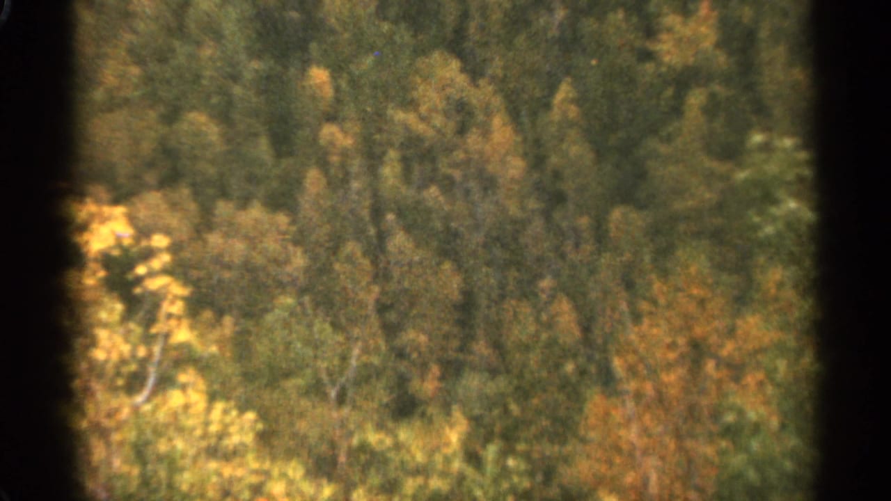 Soft 8mm view of autumn-colored forested hills with dark frame edges.