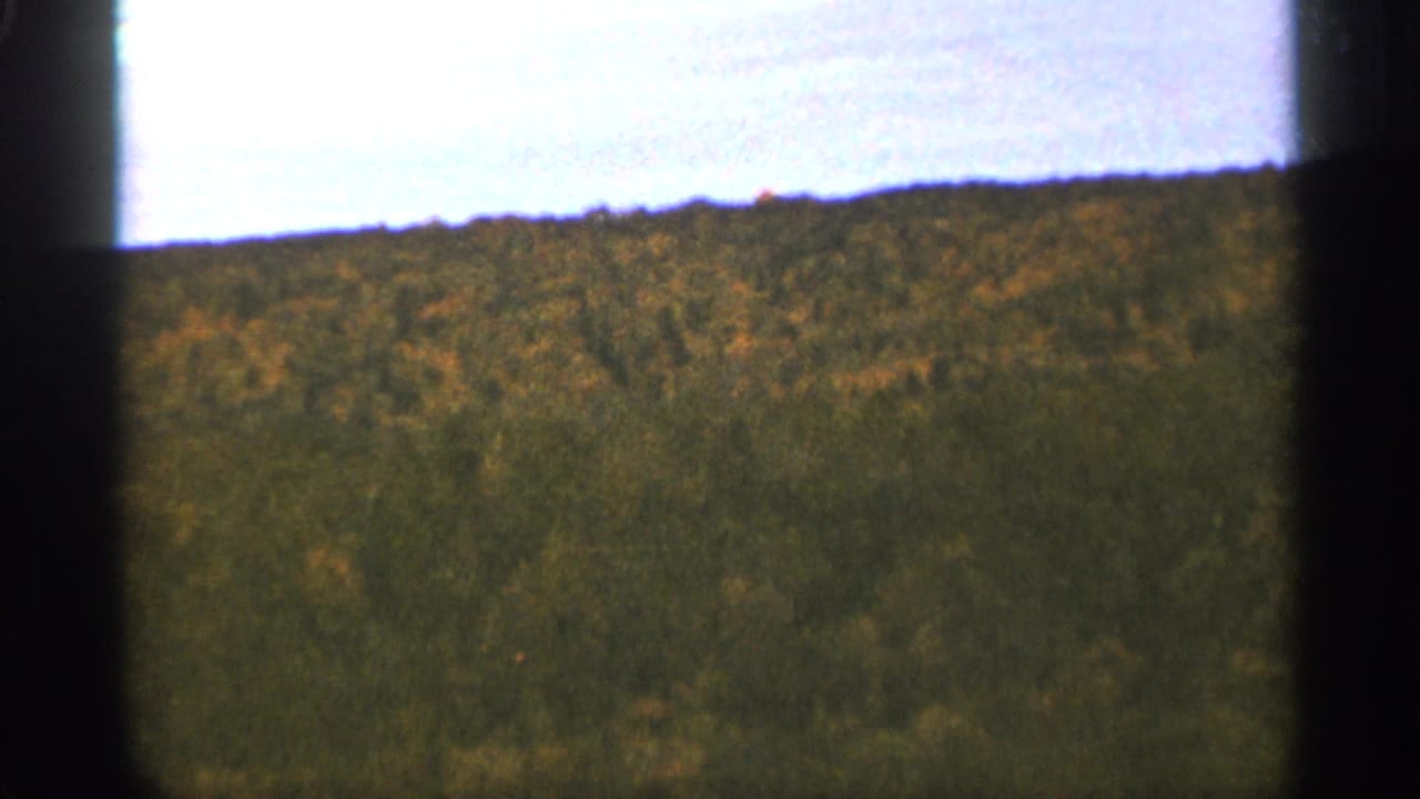 Distant forest canopy fills the lower frame below a bright pale sky.