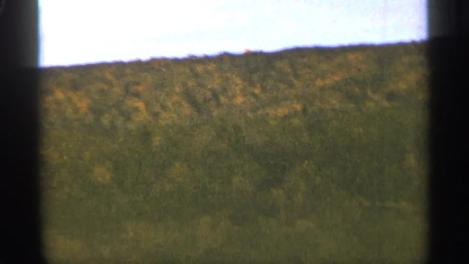 1965 Duluth home-movie frame showing a wooded slope with green and yellow trees beneath a pale sky.
