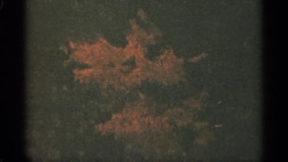 1965 Duluth 8mm frame showing orange foliage against a dark green field, with soft exposure and film-gate edges.