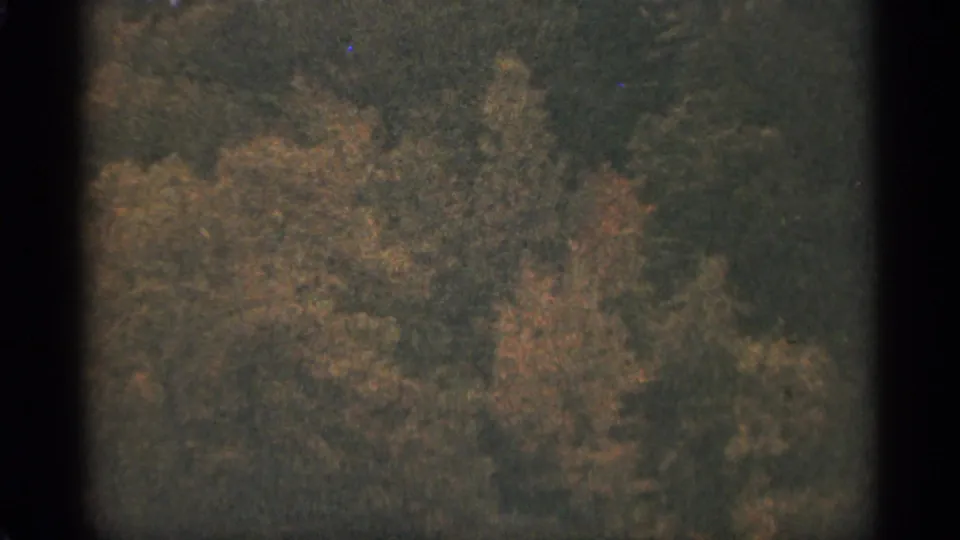 1965 Duluth-area home-movie frame of wooded autumn foliage, softened by grain, fading, and 8mm gate shadows.