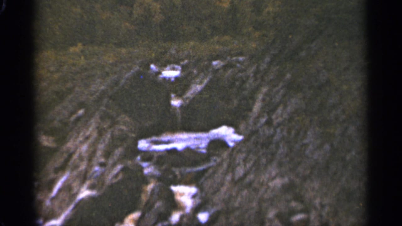 Rocky terrain with patches of pale stone and dark wooded ground.