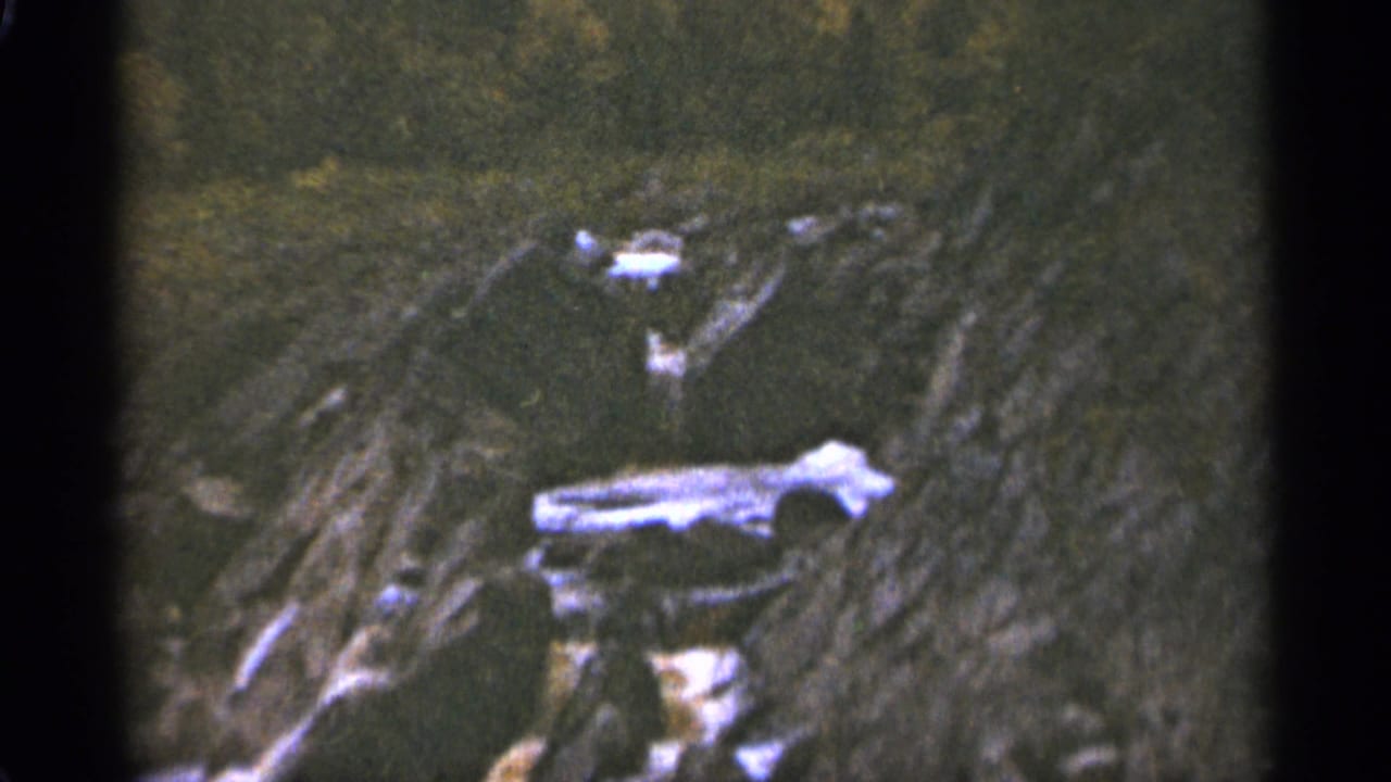1965 Duluth frame of rocky terrain and dense ground cover, seen through a soft and grainy 8mm scan.