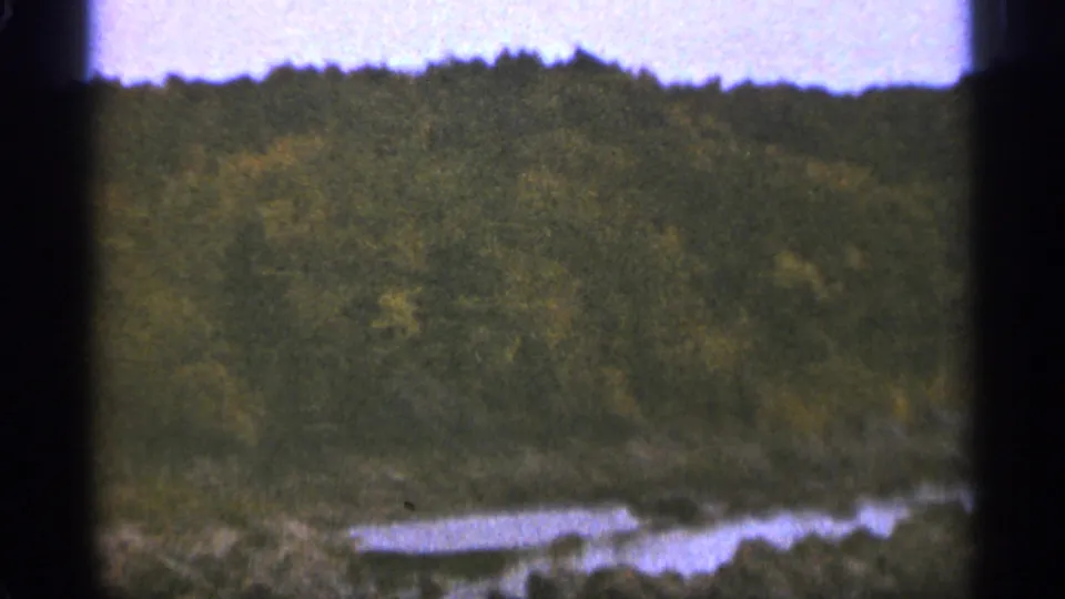 1965 Duluth landscape view with dense trees, rocky foreground, and a small reflective pond or wet area.