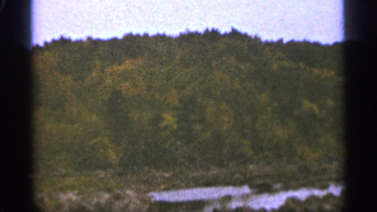 Forested landscape with water below a pale sky, framed by dark film edges.