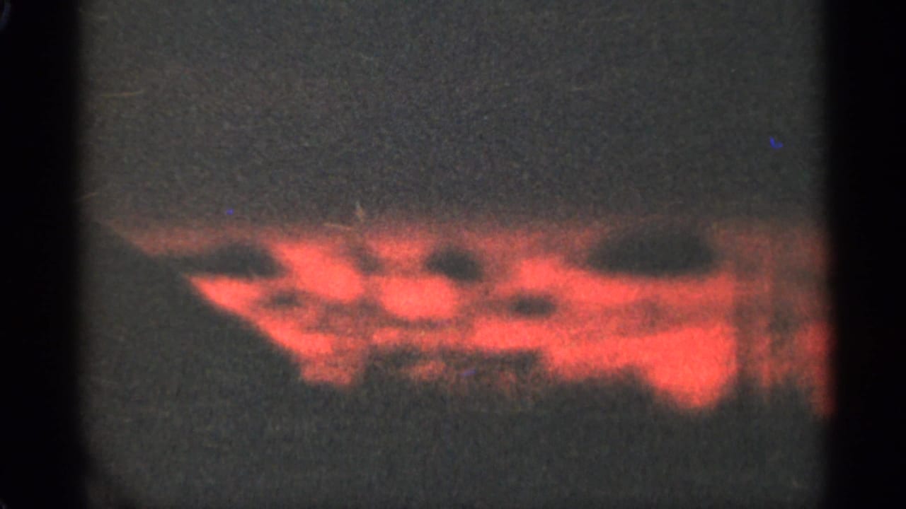 Red-orange sunset glow behind dark tree silhouettes on grainy film.
