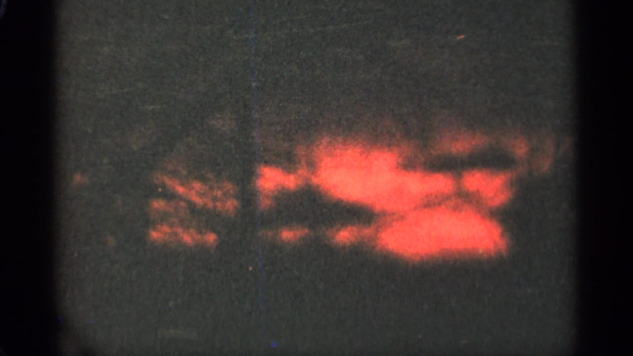 Blurry red sunset shape and dark foliage against a dim sky.