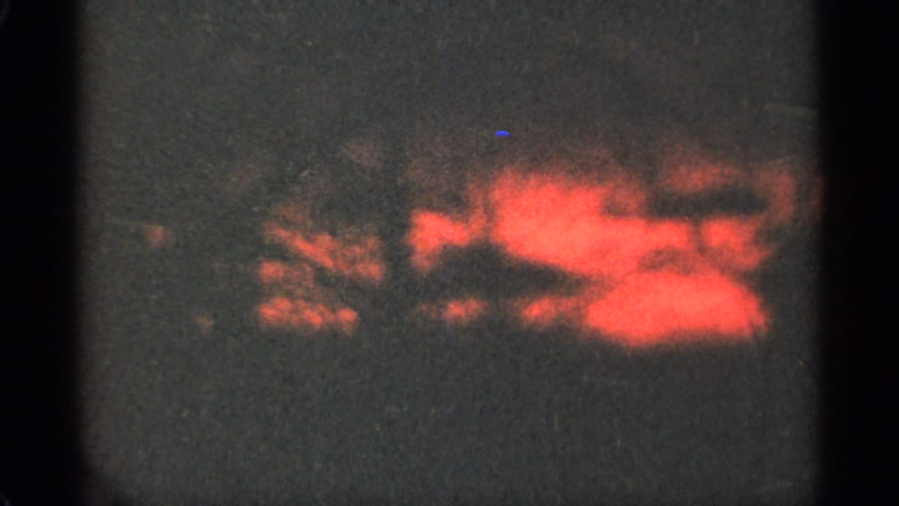 Red-orange sunset light glows behind dark, soft-edged tree shapes.