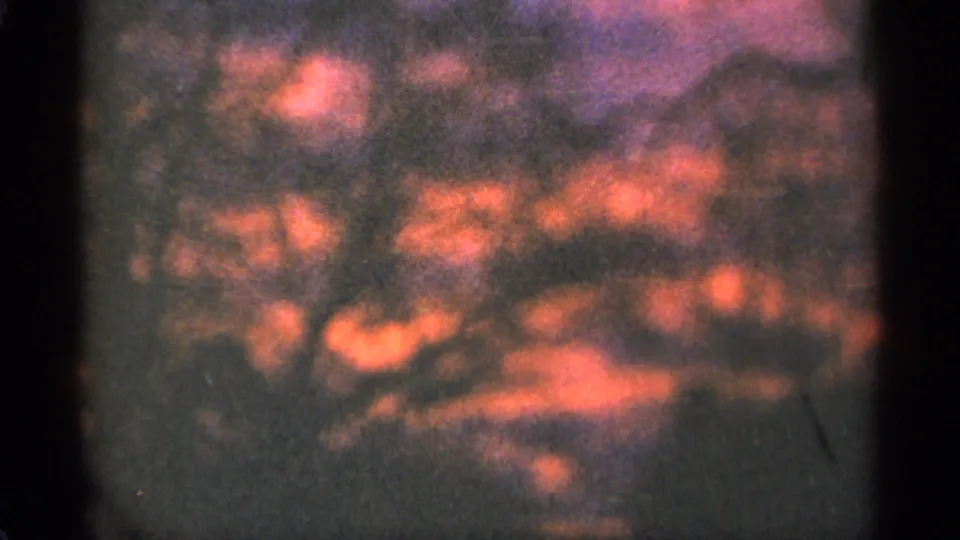 Soft 8mm view of orange dusk light filtered through trees in the Duluth, Minnesota woods.