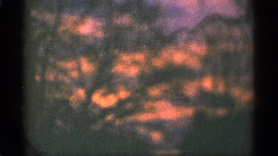 Final 8mm frame of a Duluth wooded sunset, with glowing red-orange light and heavy film grain.