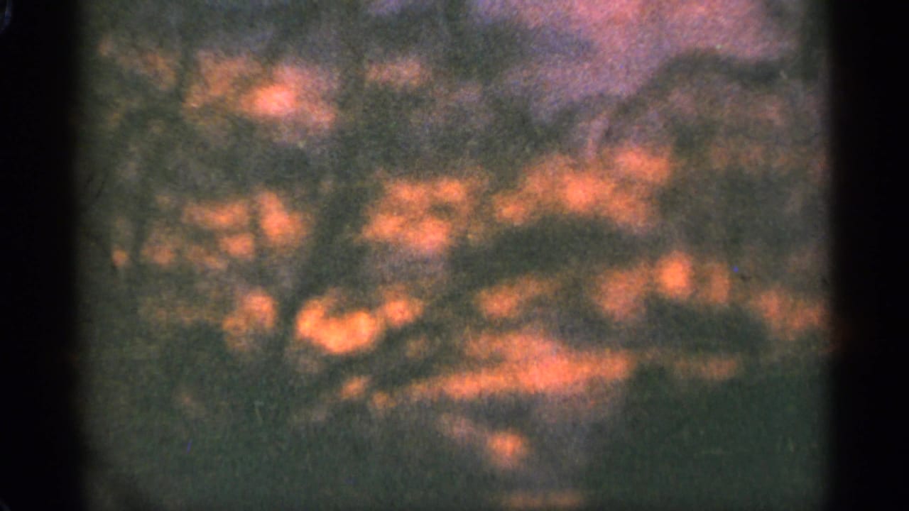 Soft, abstract close-up with orange and dark areas, possibly the camera moving before the calendar appears.