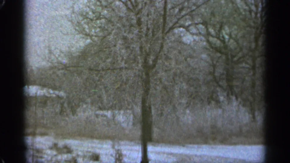 The framing shifts to a snowy Duluth winter clearing with bare trees, low brush, and muted 8mm color.