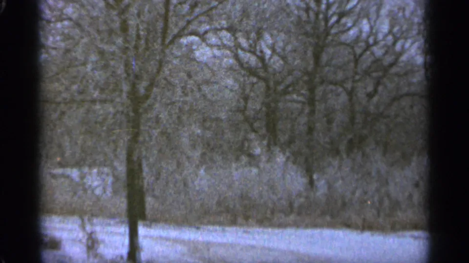 Bare trees stand over snow-covered ground in the Duluth winter landscape, with brush and woods softened by 8mm grain.