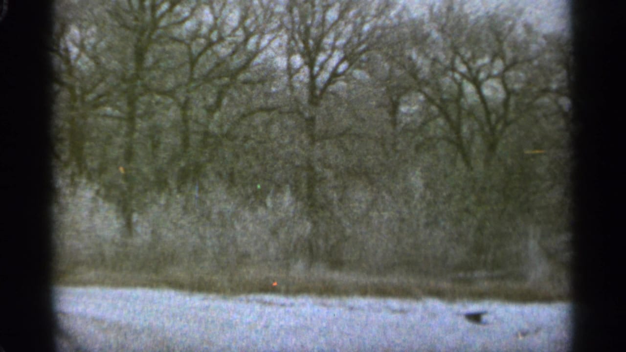 1965 Duluth winter frame with bare trees, snow, brush, and a small dark distant shape near the lower right.