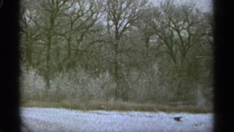 1965 Duluth winter frame with bare trees, snow, brush, and a small dark distant shape near the lower right.