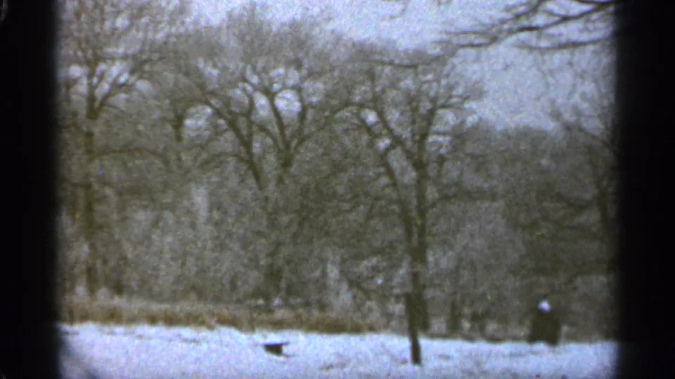 1965 Duluth winter home-movie frame showing snowy trees and a distant lone figure partly obscured by brush.