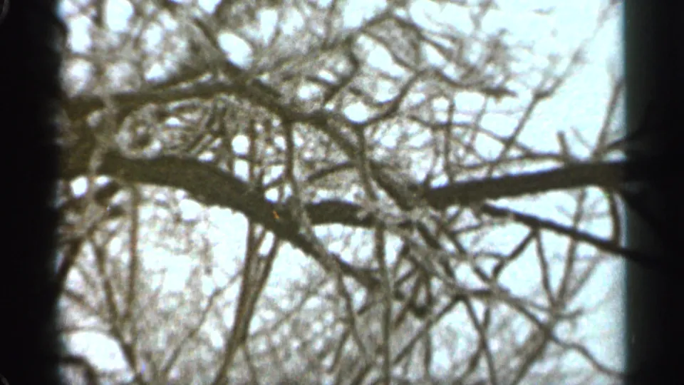 1965 Duluth home-movie frame showing leafless branches silhouetted against a pale snowy sky.