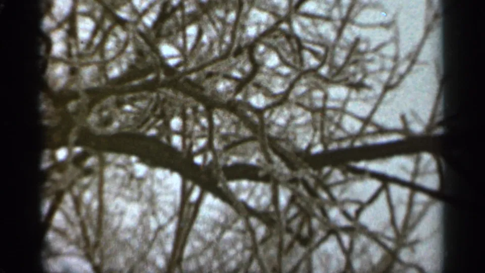 Bare winter tree limbs cross the frame in this 1965 Duluth 8mm home-movie view.