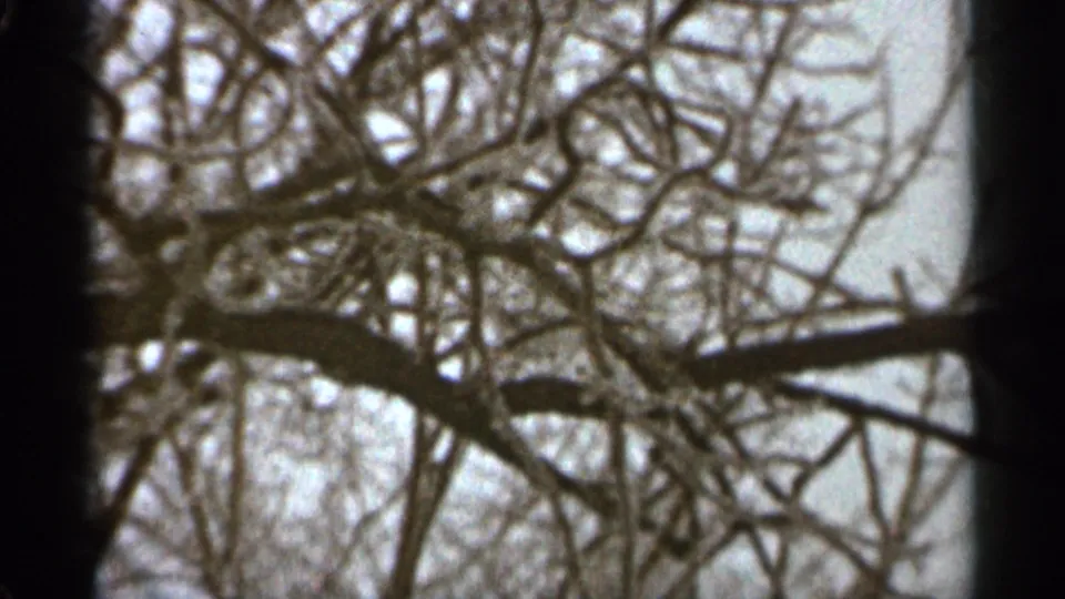 Duluth winter branches dominate the 1965 home-movie frame, with snow and film borders visible.