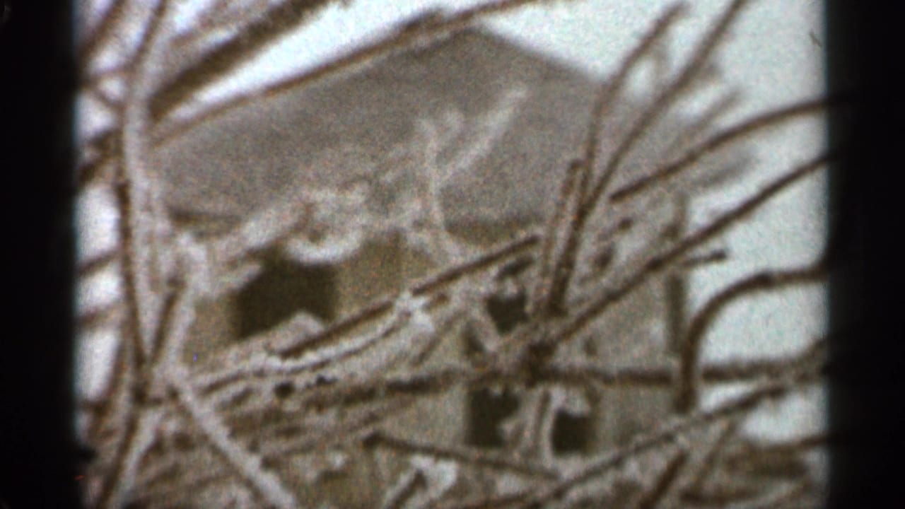 1965 Duluth 8mm frame showing leafless branches partly obscuring a snow-dusted building in soft focus.