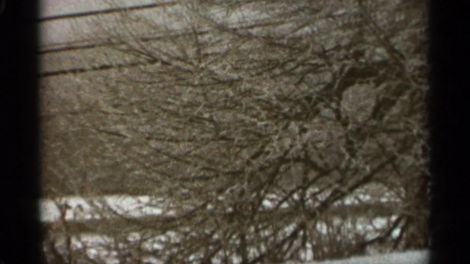 1965 Duluth 8mm frame showing a lower winter view through dense bare brush with snow visible near the ground.