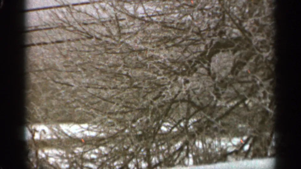 1965 Duluth home-movie frame with dense leafless brush, snow at ground level, and a soft muted background.
