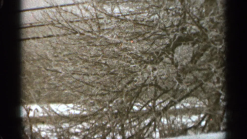 1965 Duluth 8mm frame showing bare branches, overhead utility lines, and snow patches in a quiet winter landscape.