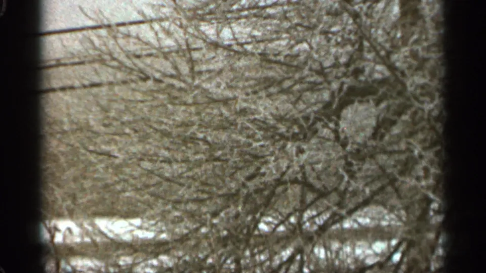A wintry Duluth view on 8mm film shows bare tree limbs, utility wires, and snow-covered ground beyond a dark vertical edge.