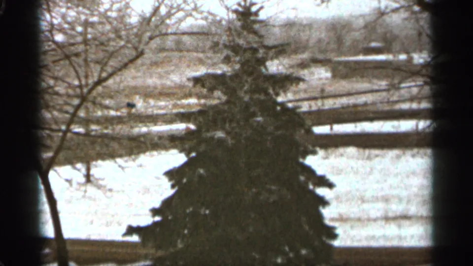 1965 Duluth 8mm frame with a tall evergreen centered against snow-covered ground, bare branches, and distant low landscape features.
