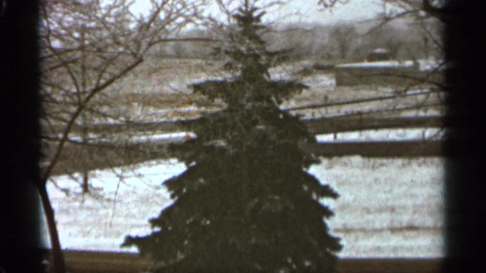 The Duluth winter home-movie view settles on an evergreen tree, snow patches, bare branches, and distant low structures or fencing.