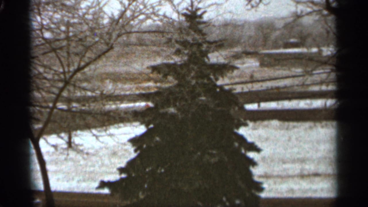 Snowy landscape with a lone evergreen, bare trees, and distant water or open field.