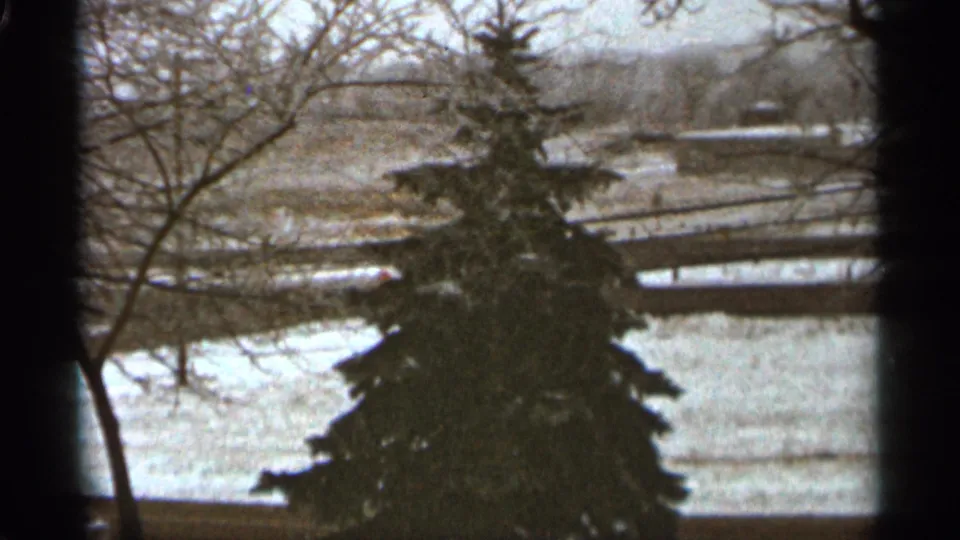 1965 Duluth home-movie frame showing a lone evergreen against snow, bare winter trees, and a distant river or open field.