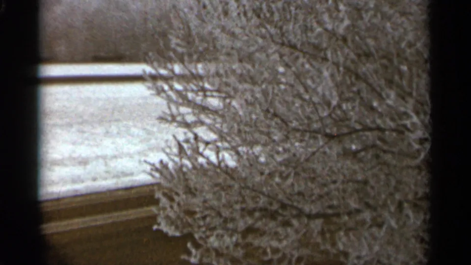 A frost-covered bush fills the foreground with snowy ground behind it in the Duluth winter home movie.