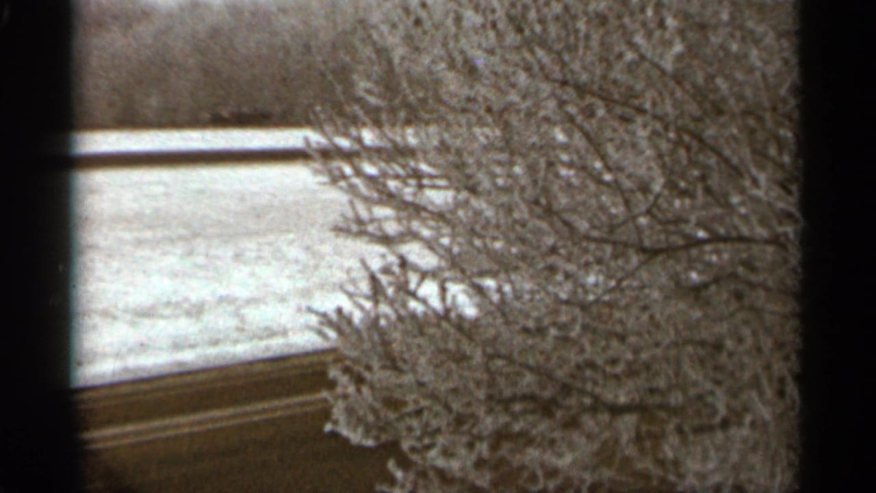 Frost-covered branches over a snowy road with dark film edges.