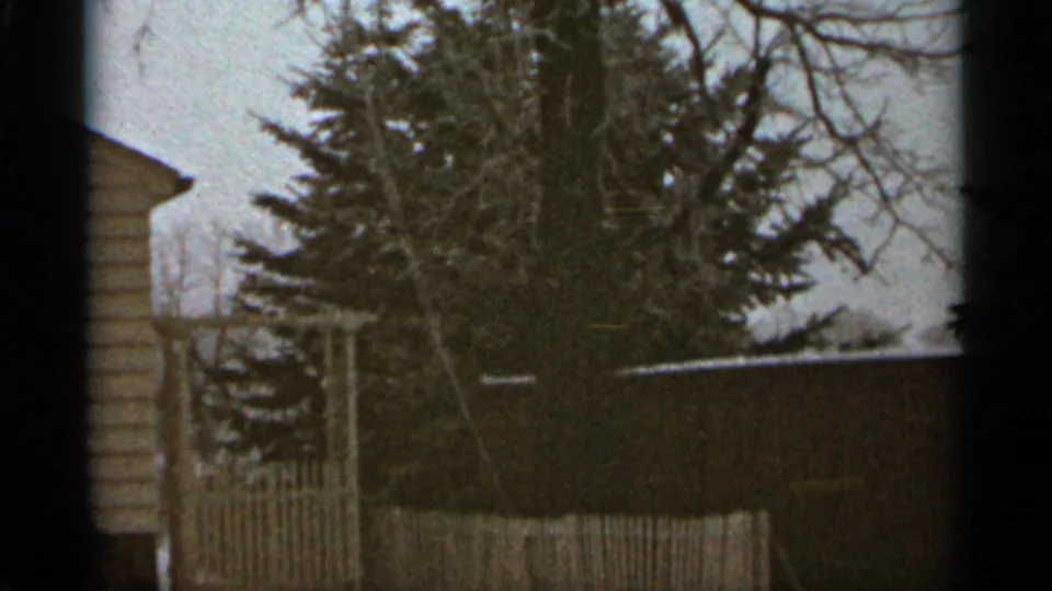 1965 Duluth residential yard with a large evergreen, wooden fence, snow patches, and the side of a house under a pale winter sky.