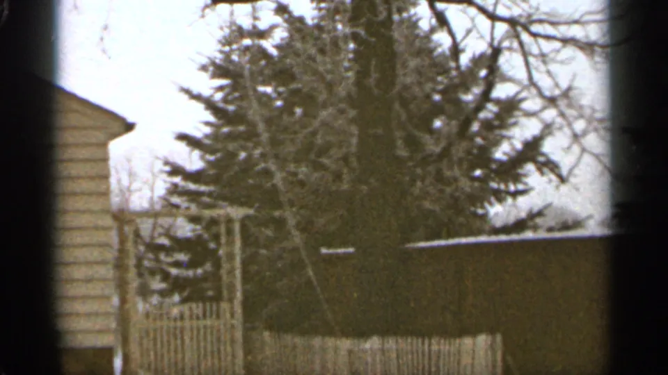 Duluth 1965 home-movie view of a large evergreen and fenced residential yard, with house siding at left and dark 8mm frame edges.