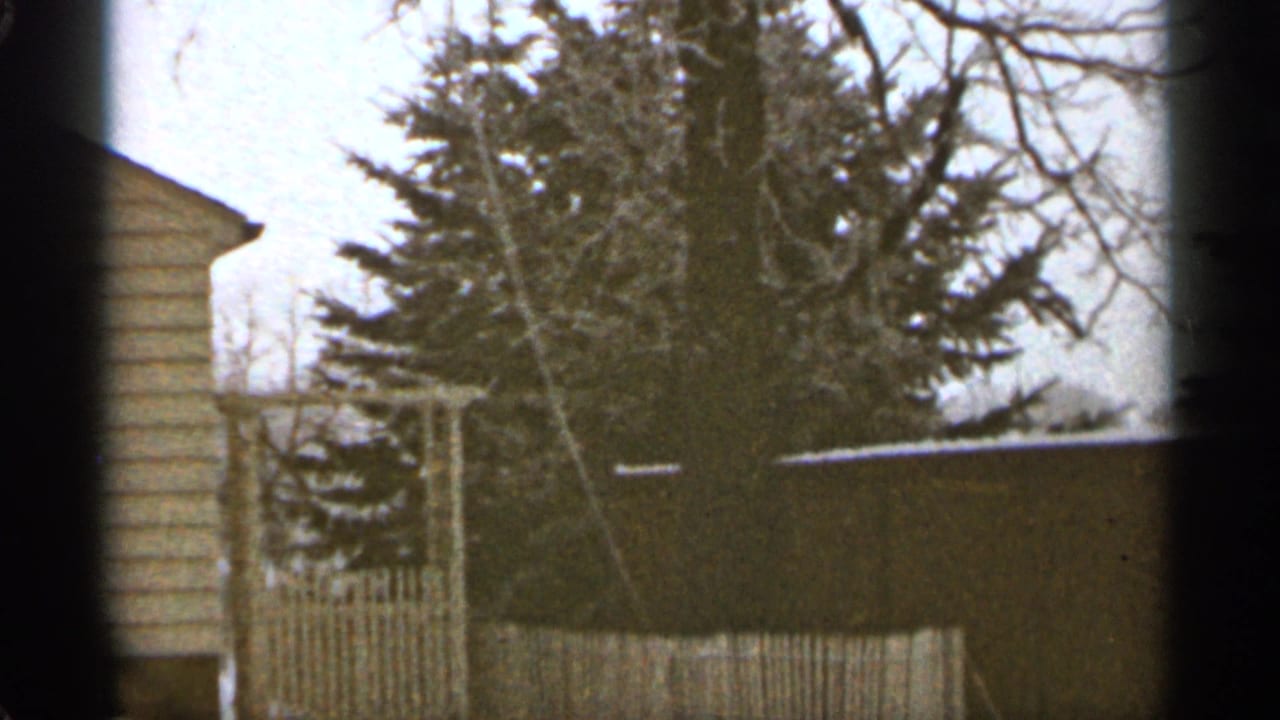 1965 Duluth home-movie frame showing a winter backyard with an evergreen, bare branches, wood fence, and house siding.