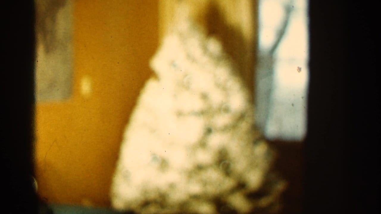 Soft-focus decorated Christmas tree beside a bright window in a warm indoor room.