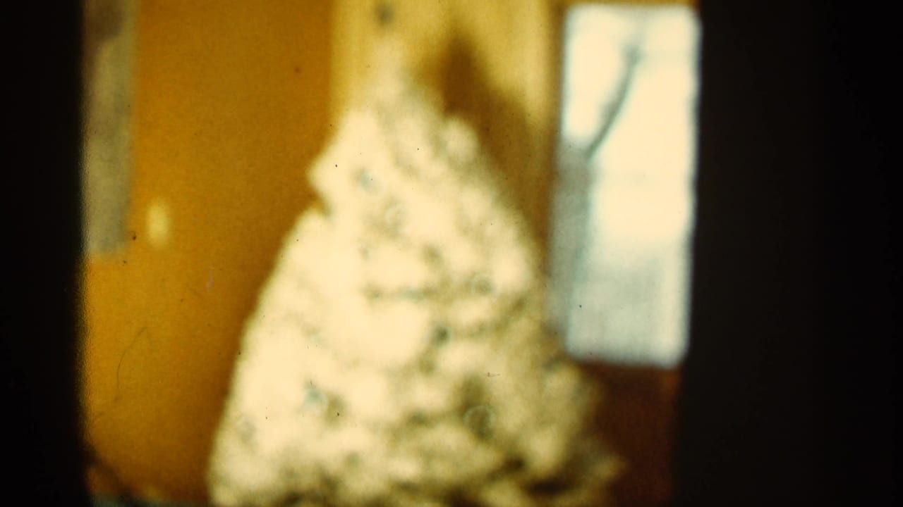 Blurred tree shape against a yellow wall with a bright window at right.