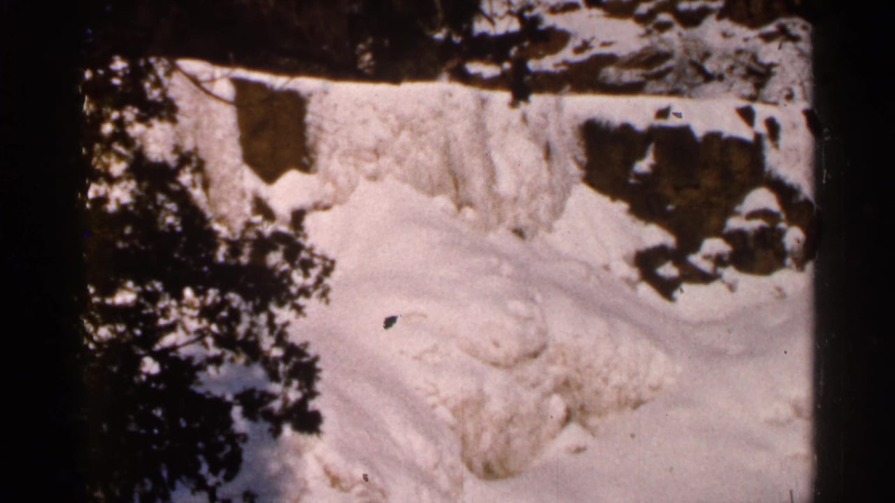 Snow drift beside dark trees and rocks in winter sunlight.