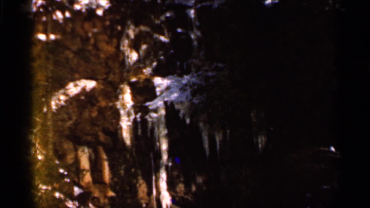 Dark winter trees with snow and icicles, partly obscured by film-edge shadow.