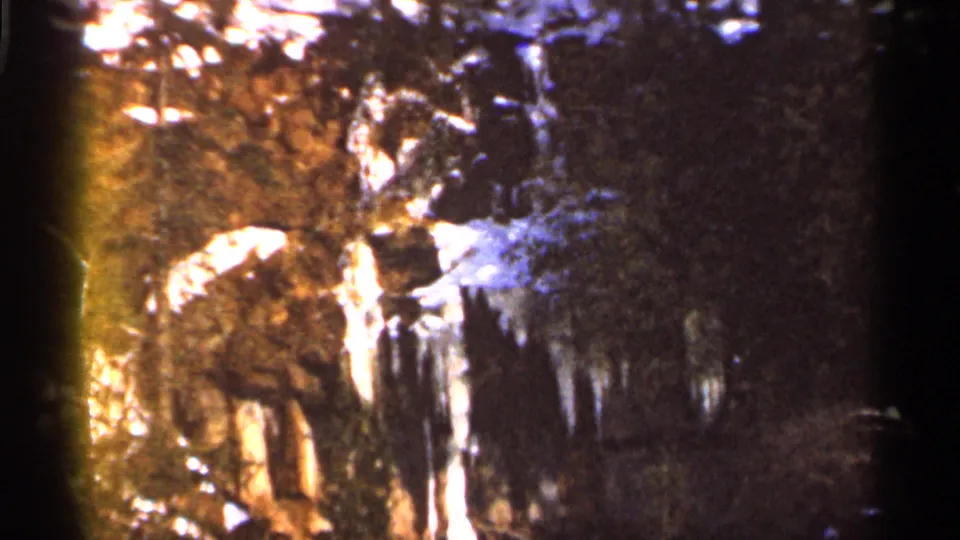 Grainy 1966 8mm frame of snow, icicles, and winter trees in Eau Claire, with soft focus and warm color shift.
