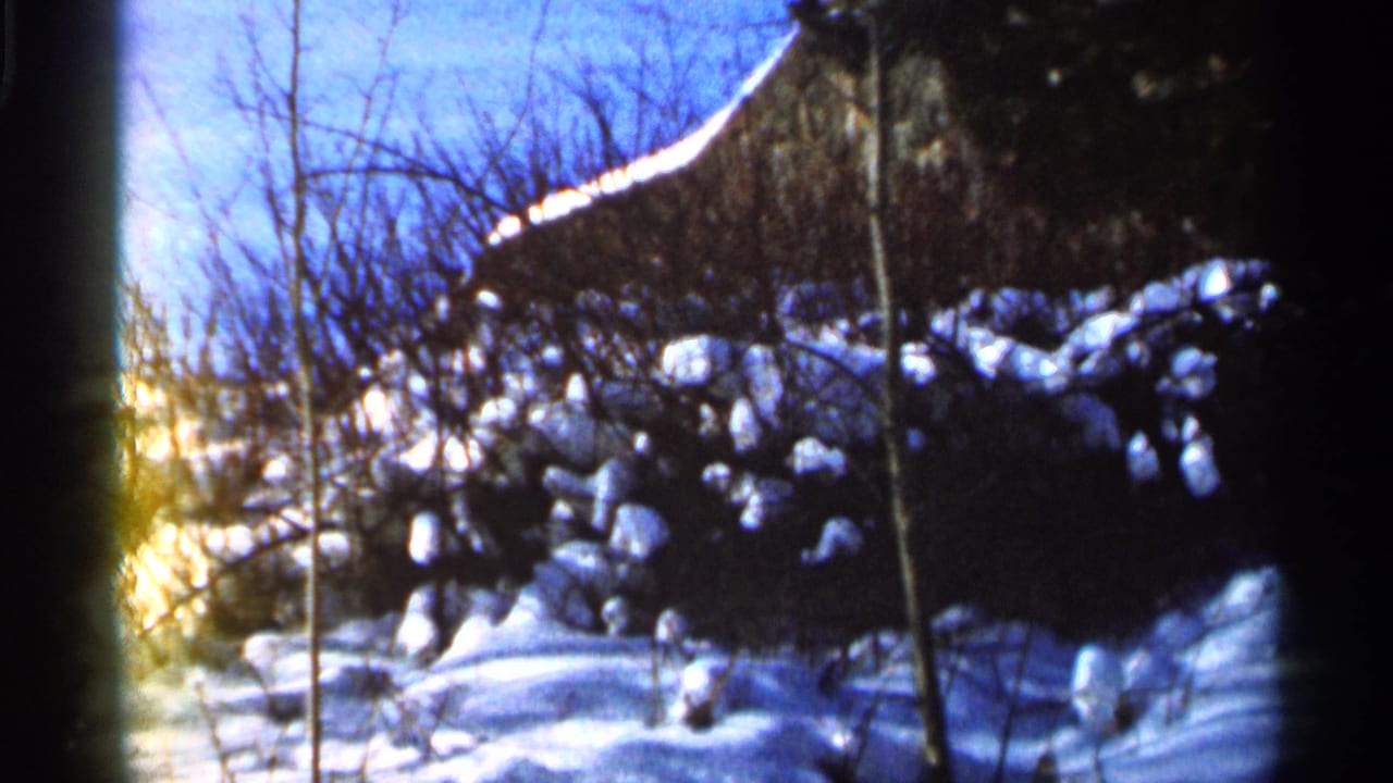 Snow-covered trees and ground with a dark rustic roofline at the top edge.