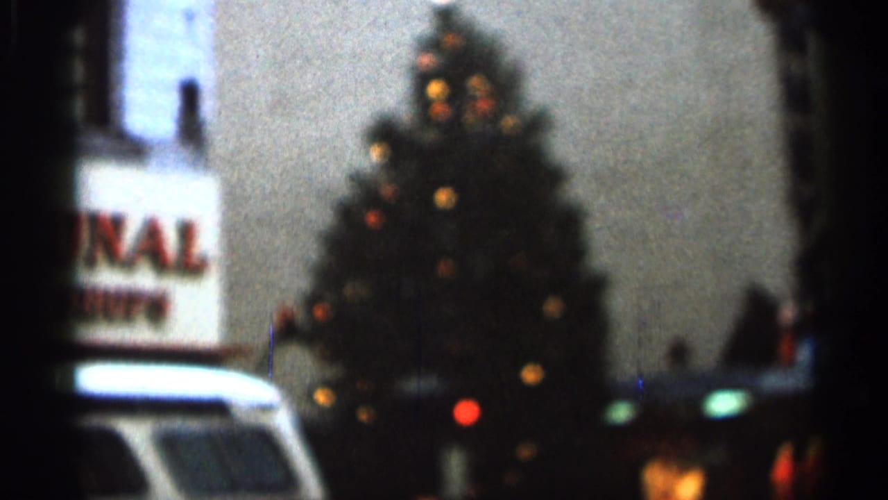 Large lit Christmas tree beside cars and a partially visible building sign at night.